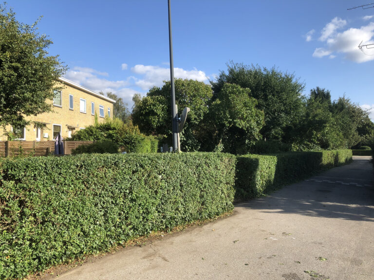 Unknown-1